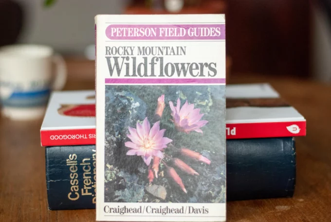 Rocky Mountain Wildflowers book by Craighead